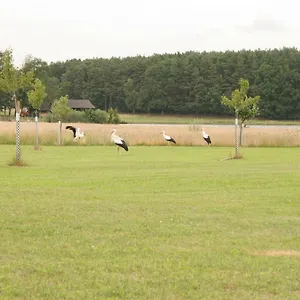 Häusla Dannberg