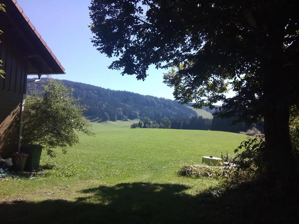 das Vogelnest Maierhöfen Deutschland
