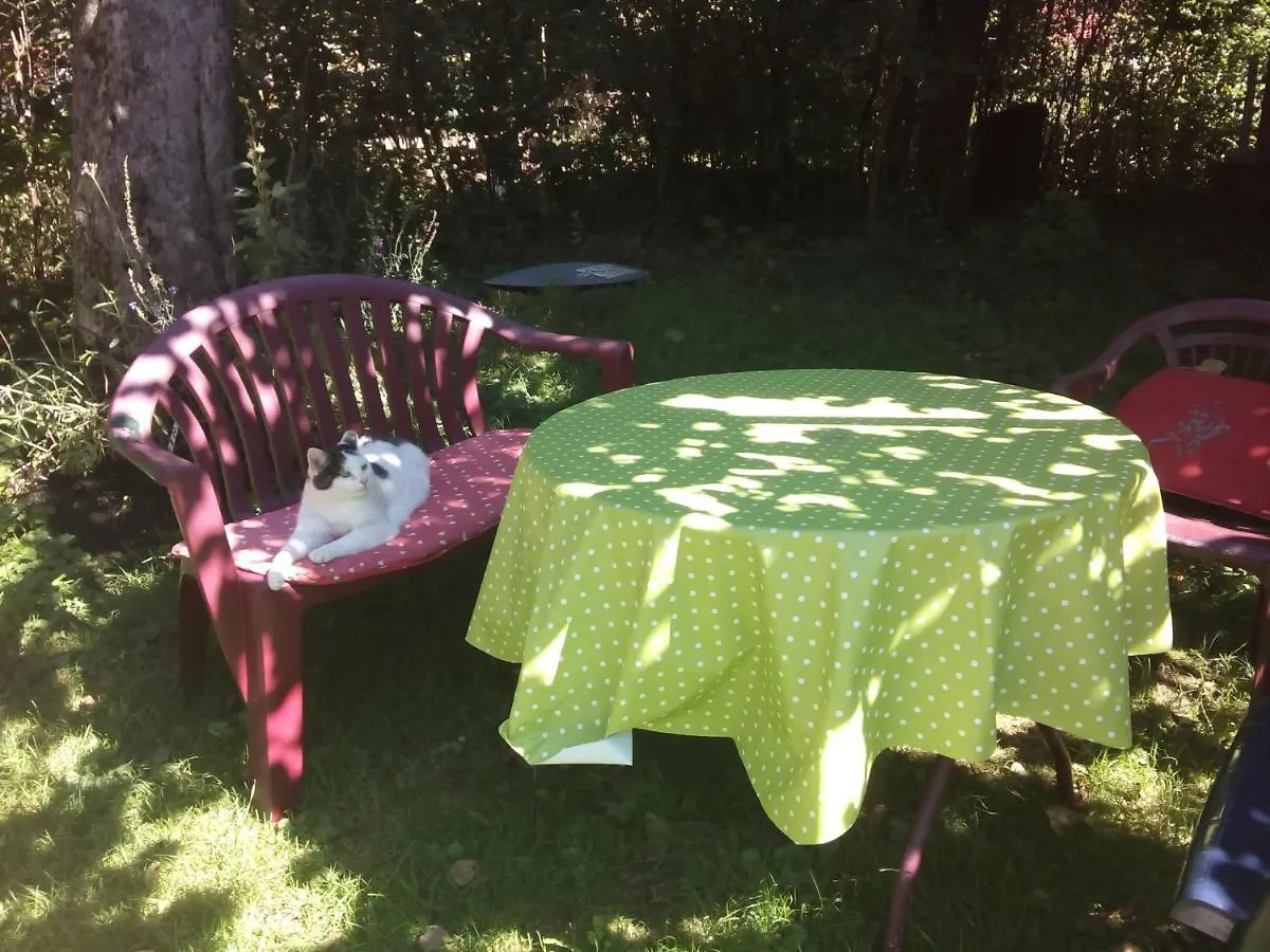 das Vogelnest Maierhöfen